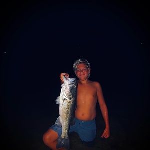 Meet your Posher, Liam